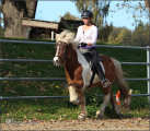 Individualtraining II