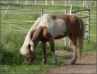 Frhling/Sommer 2012