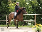 Turniere 2012
