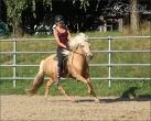 Individualtaining Juli 2013