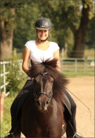 Reitabzeichenkurs Bronze August 2013