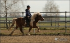 Individualtraining Mrz 2014