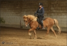 Individualtraining Juni 2015