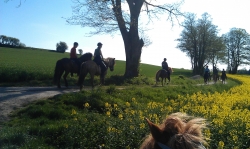 Wunderschner Wanderritt