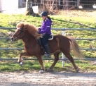 Individualtraining 2 