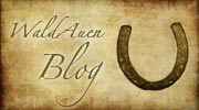 Islandpferde Blog